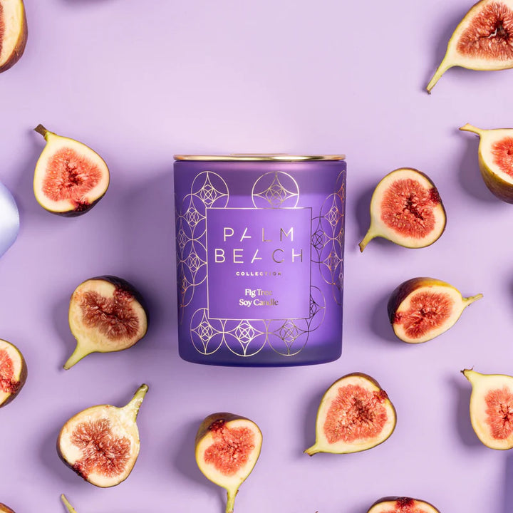 Palm Beach Standard Candle 420g Fig Tree