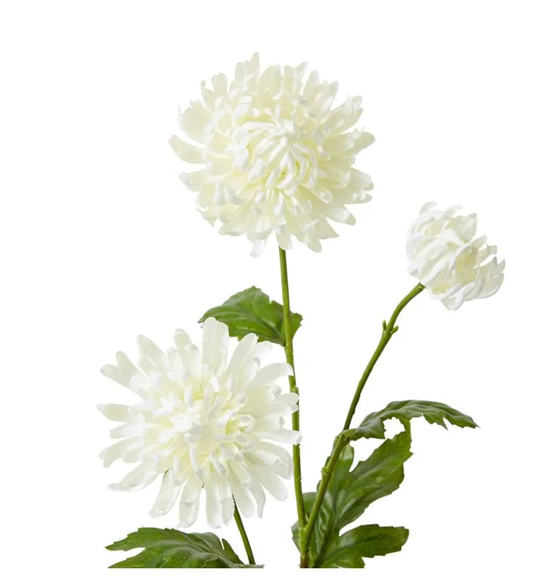 Chrysanthemum White Spray 16x9x64cm