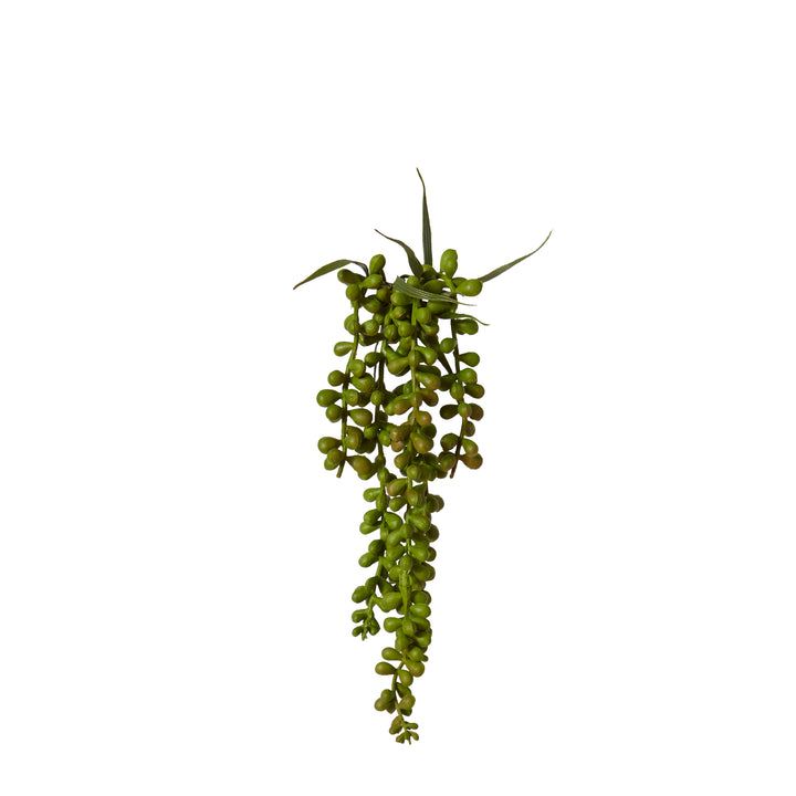 String of Pearls Hanging Plant 8x8x34cm Green