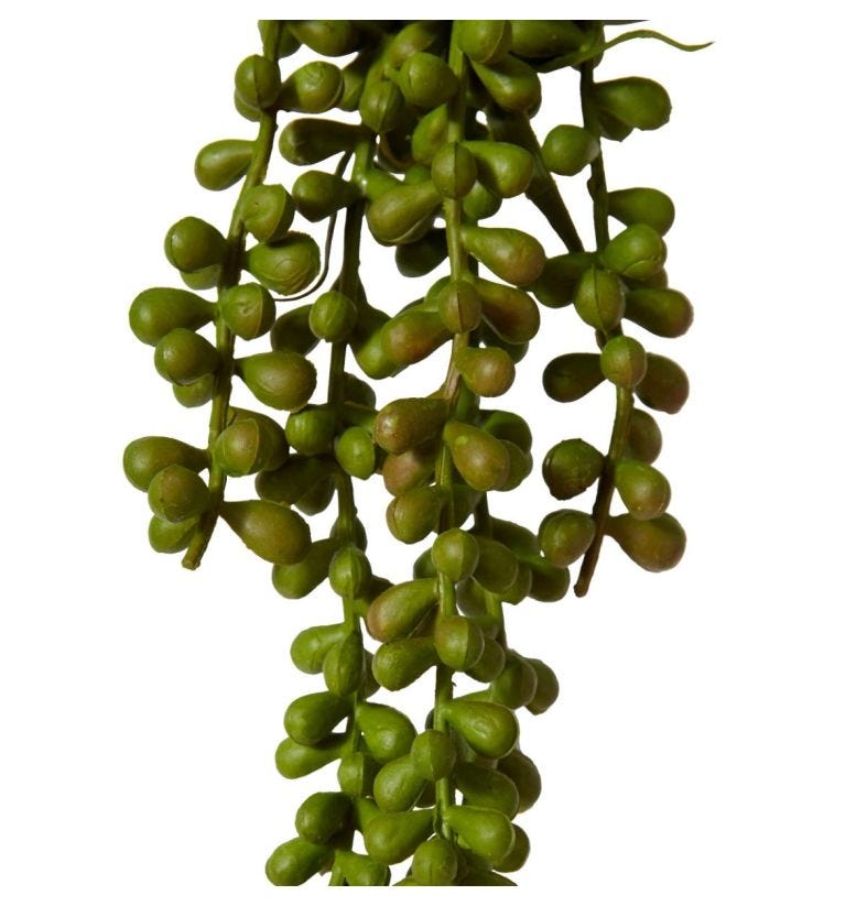 String of Pearls Hanging Plant 8x8x34cm Green