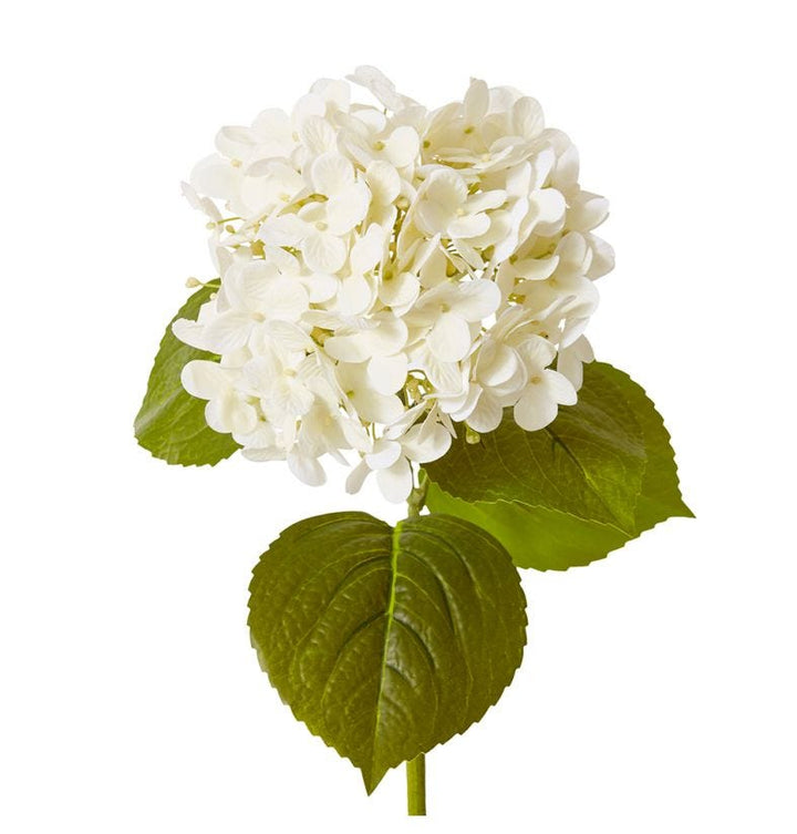 Hydrangea Garden Stem White 61cm