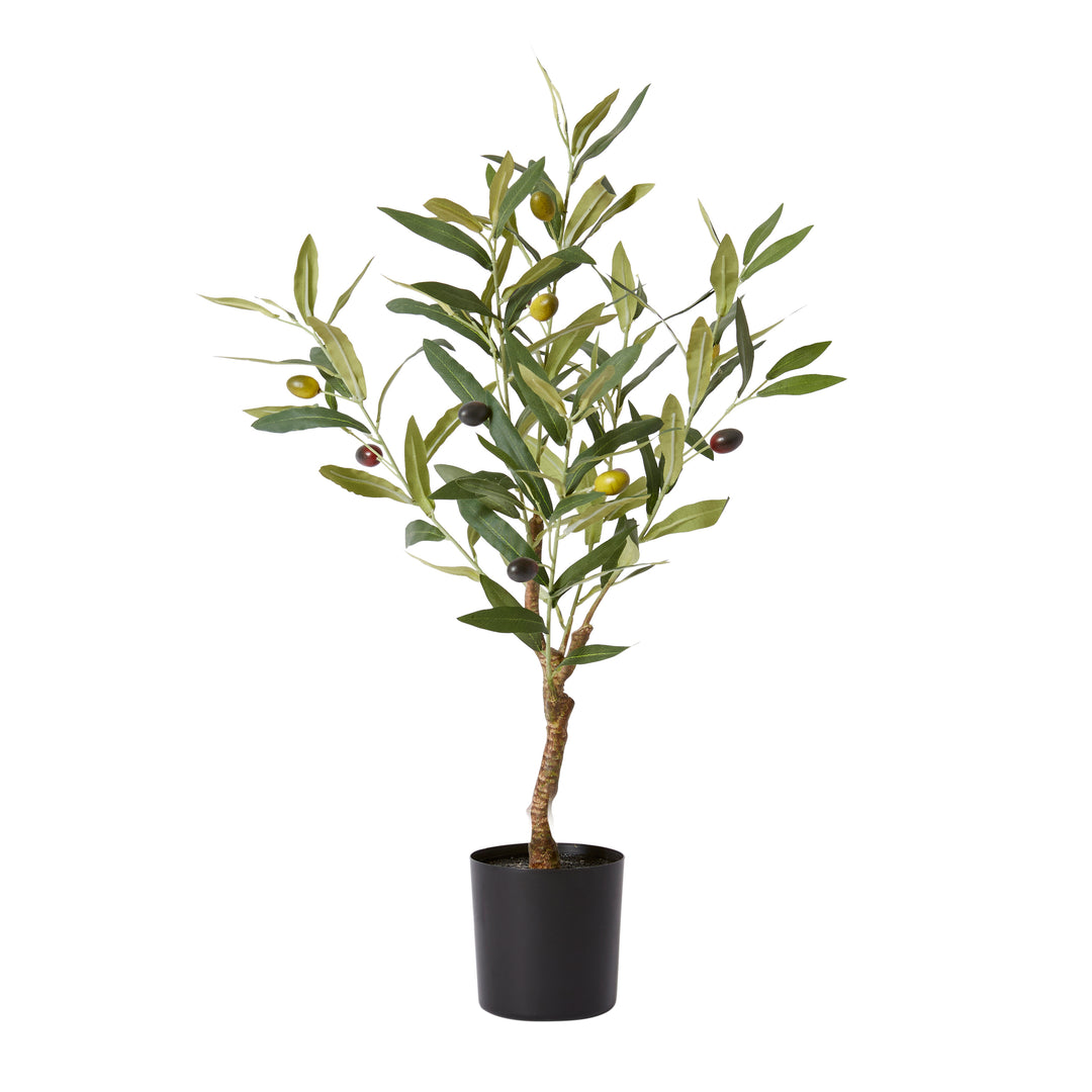 Olive Tree 33x33x61cm Grey Green – Habitania